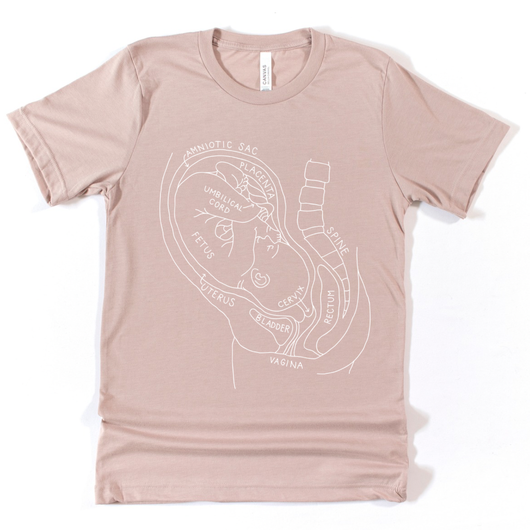 Pregnancy Anatomy Tee