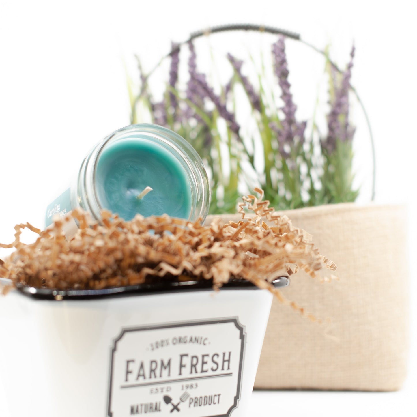 Blue Fir Scented Candle 7oz Soy Paraffin Candle Carolina Pines