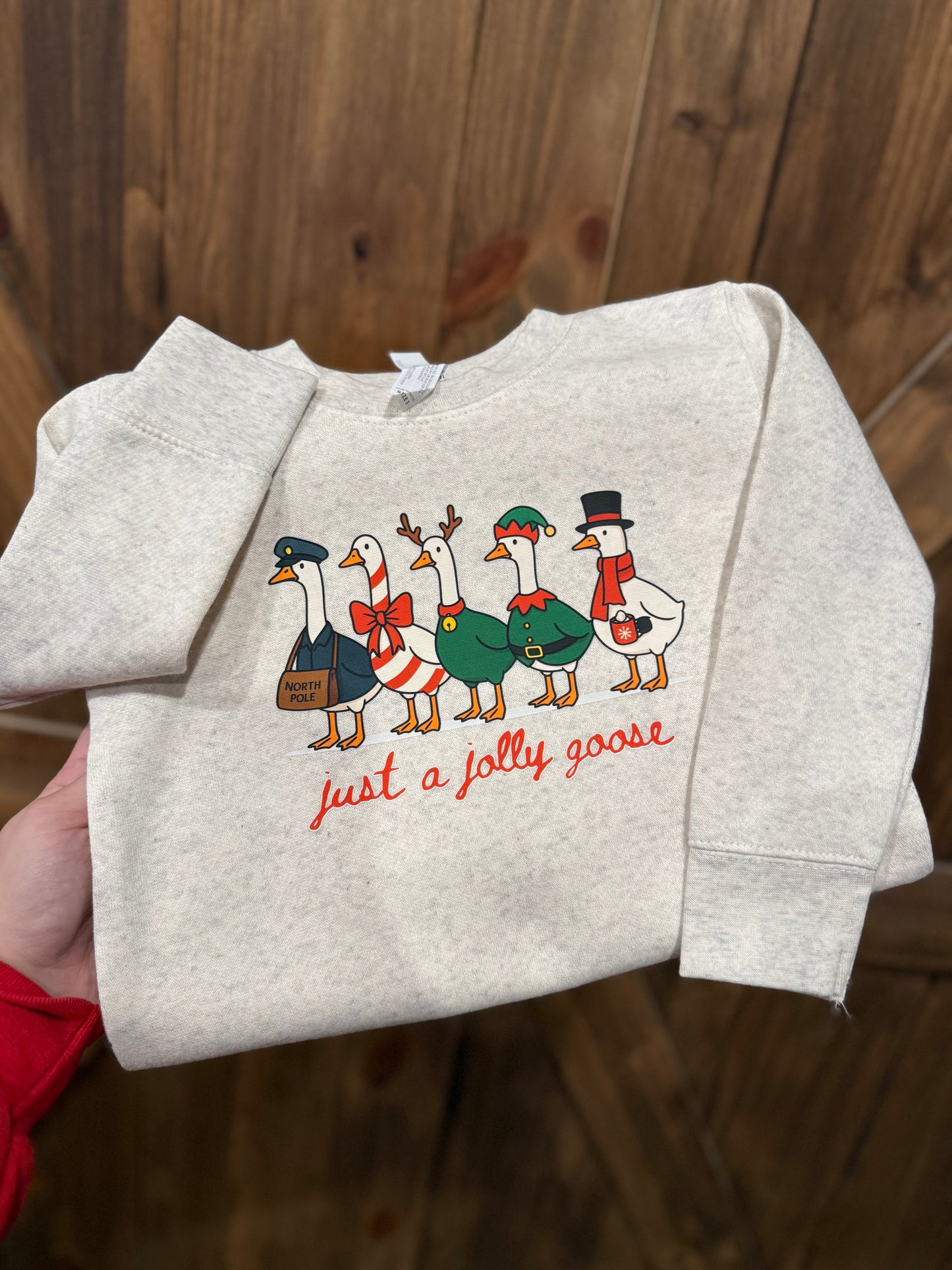 Kids Christmas Goose Crewneck Sweatshirt Just a Jolly Goose Holiday Sweater