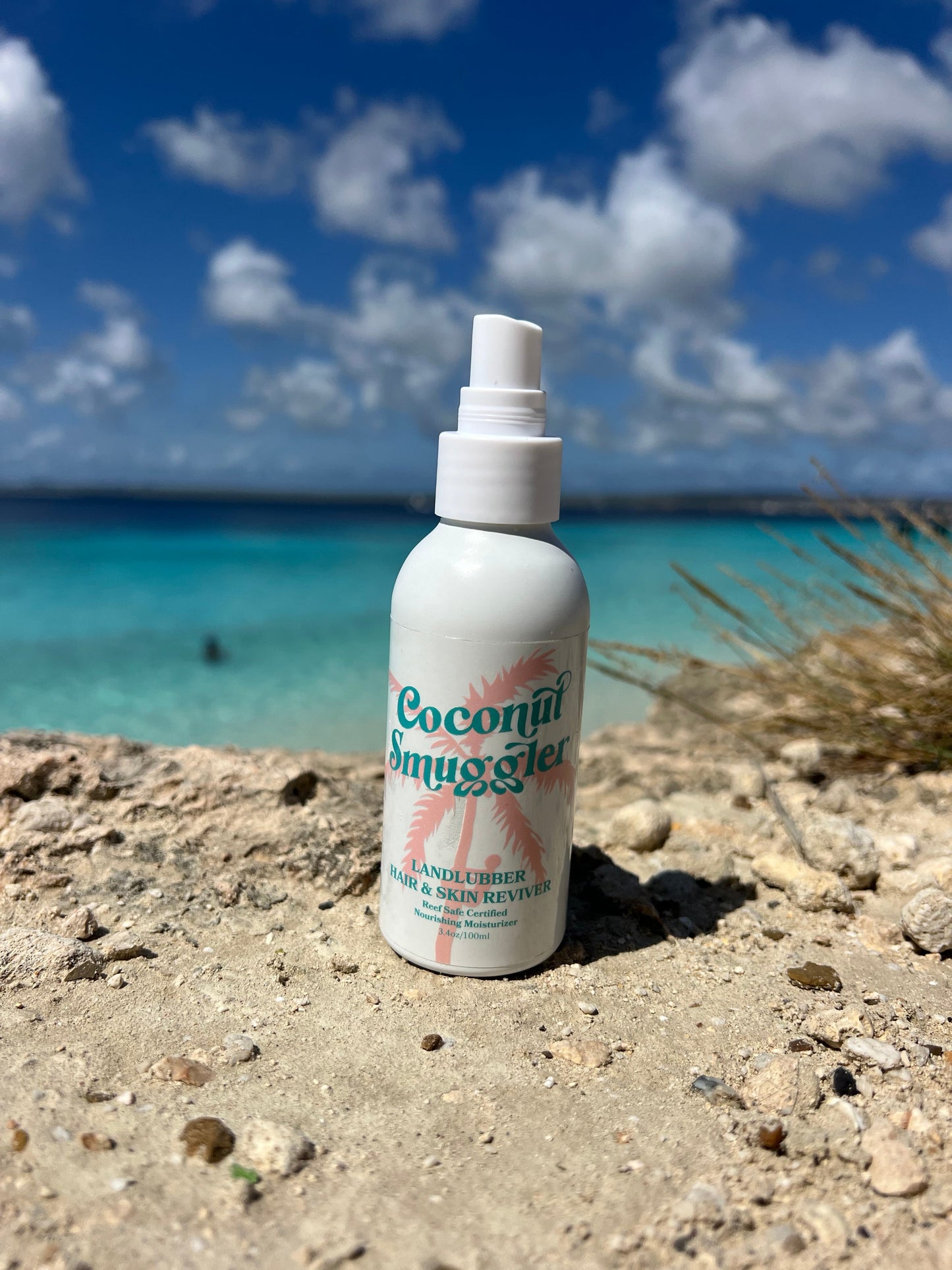 Hair & Skin Reviver Aloe-Based Detangler and Conditioner Landlubber