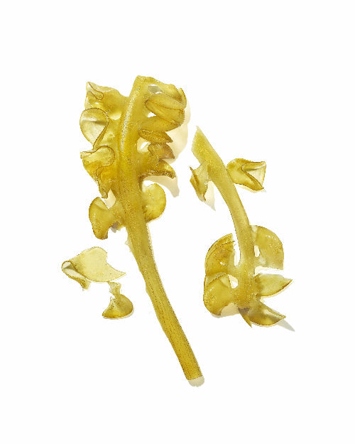 Mekabu Hydrating Shine Serum Hair Treatment Masami