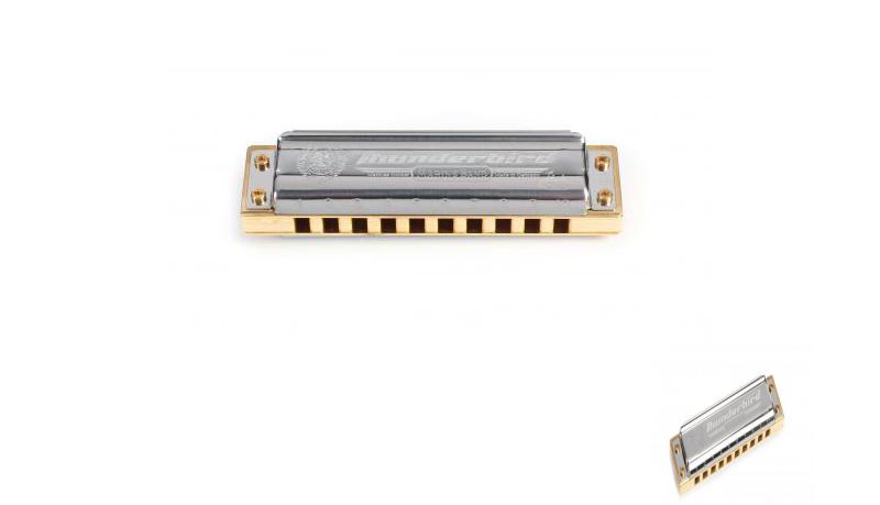 Hohner Marine Band Thunderbird Low Low F Diatonic Harmonica