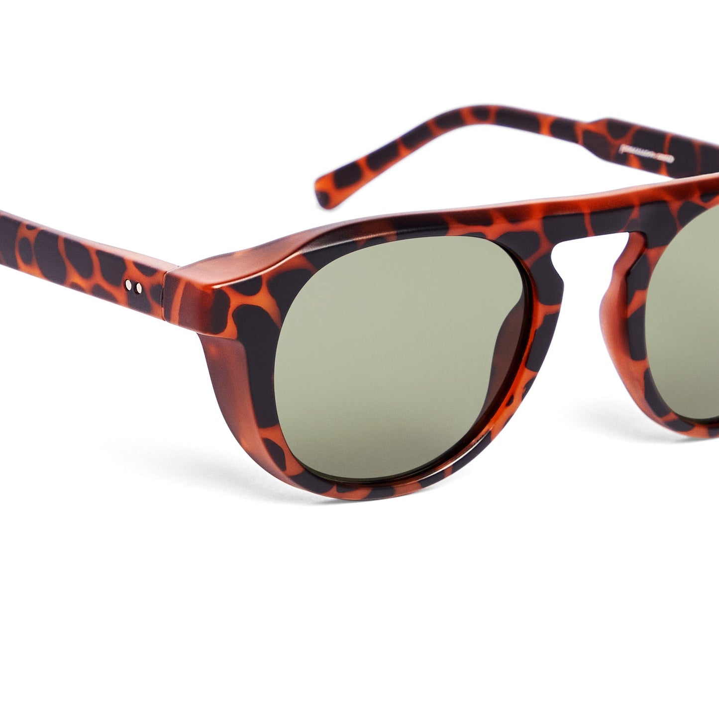 Champlain Oversized Sunglasses StokedPlastic® Eyewear Opolis