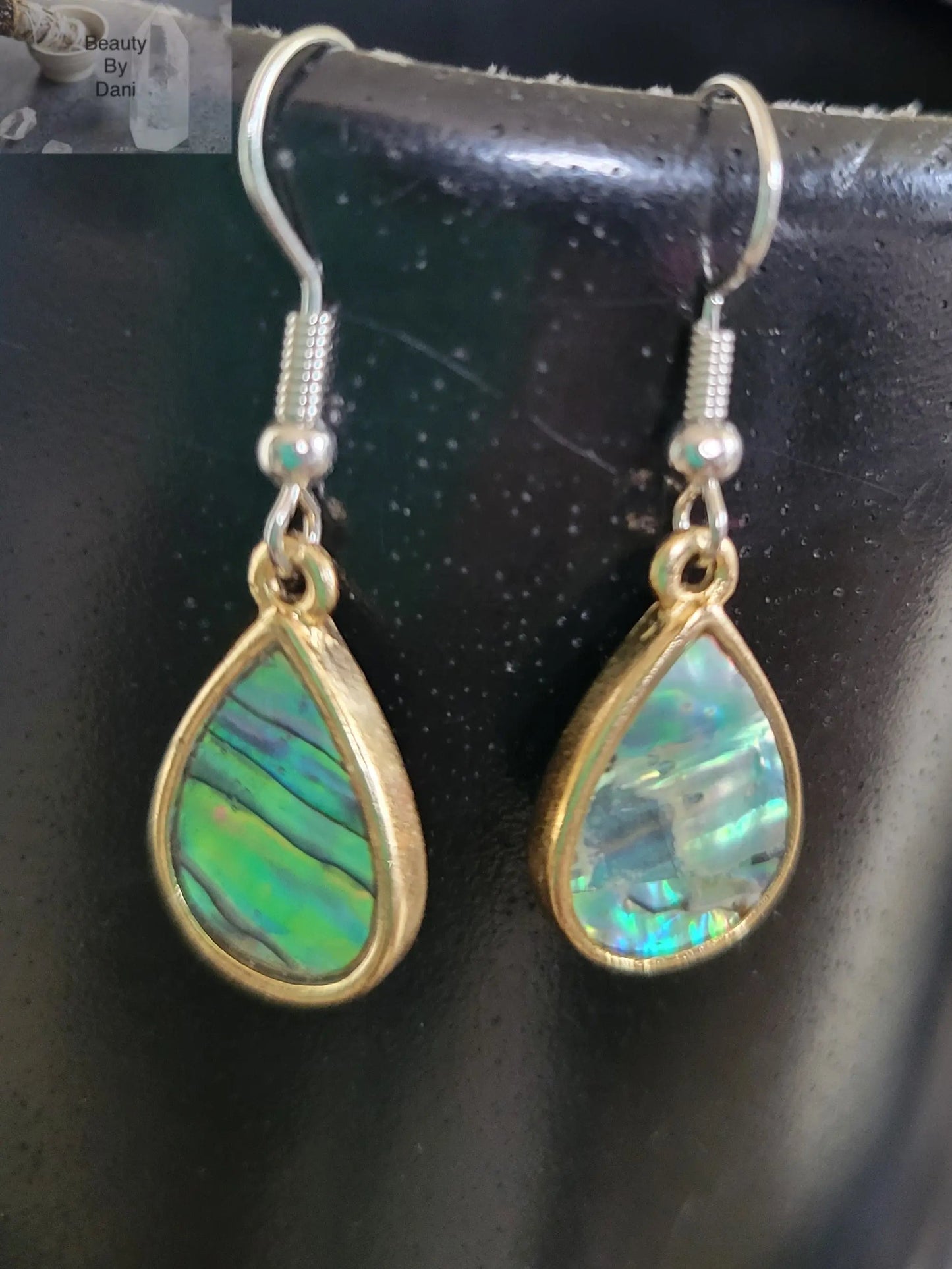 Hypoallergenic Abalone Earrings with Stainless Steel Posts Jewelry