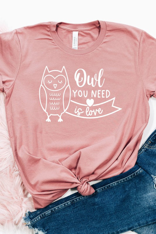 Valentine's Day Owl You Need Is Love Tee Unisex T-Shirt Bella Canvas