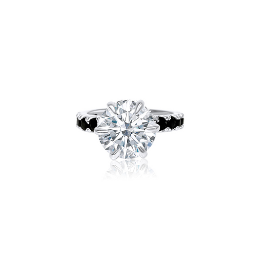 4.0ct Round Cut Moissanite Double Halo Engagement Ring