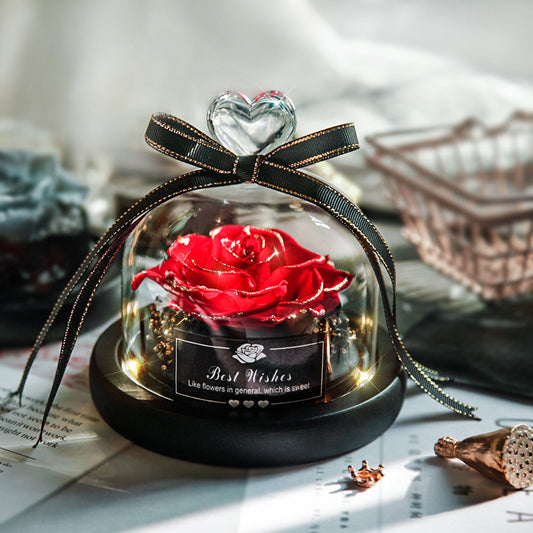 Eternal Dried Rose Flower Home Decor with LED in Glass for Valentine's Day Christmas Wedding Gifts