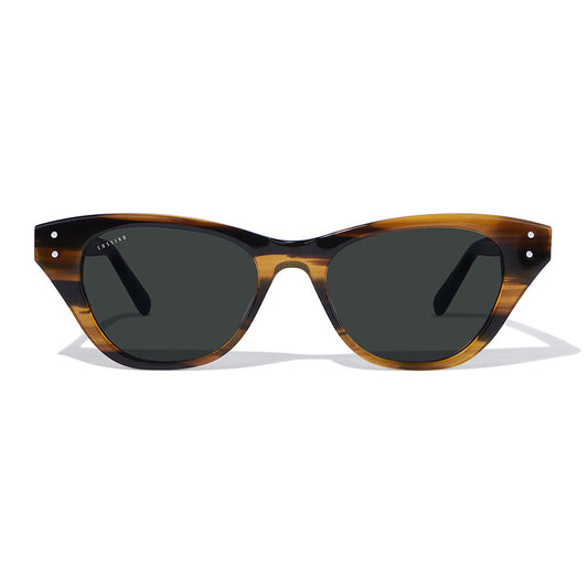 Belize Gato Acetate Sunglasses