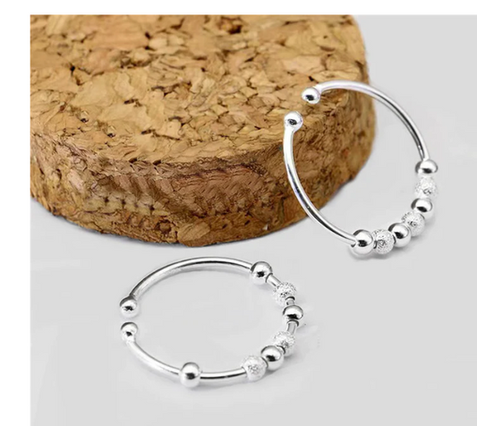 Sterling Silver Adjustable Fidget Ring Dana's Secret Closet