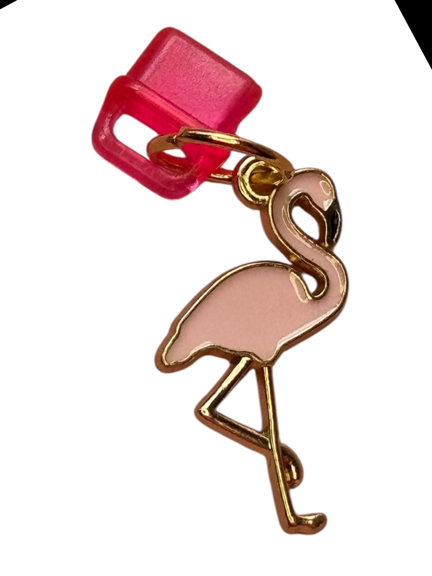 Kindle Charm Type C and Lightning Port Dust Plug