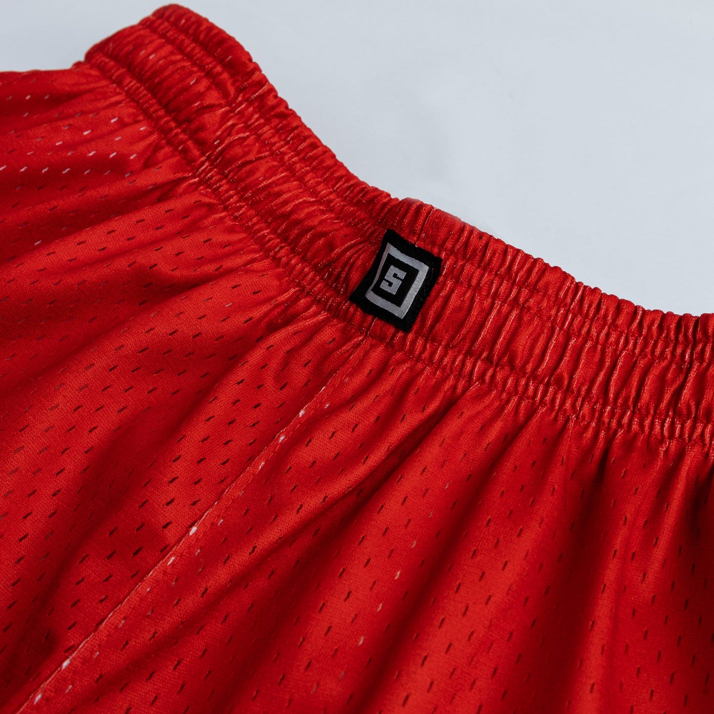 Anime Basketball Shorts with Air Ventilation Mesh Cloud