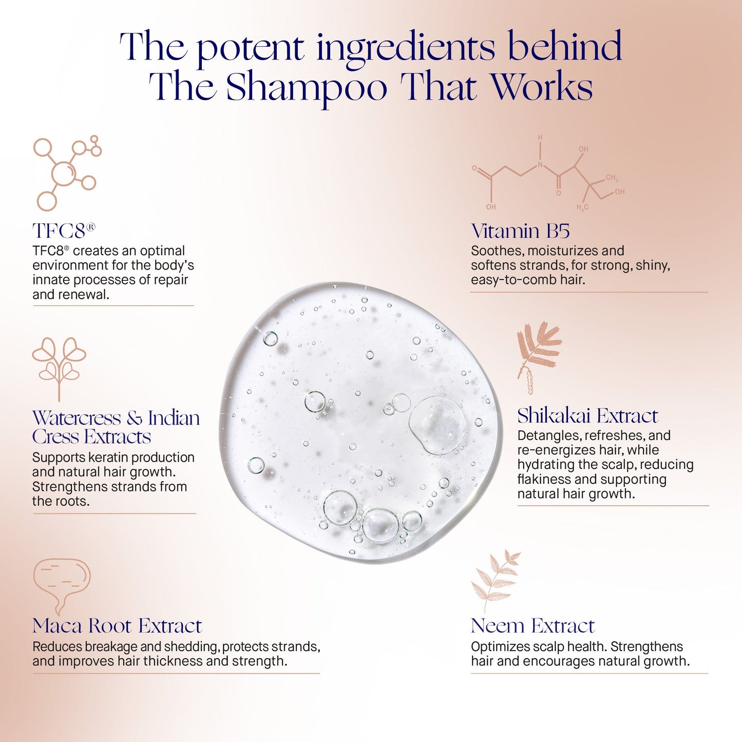 Clean Hydrating Shampoo for Fuller Shinier Hair The shampoo