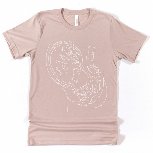 Pregnancy Anatomy Tee