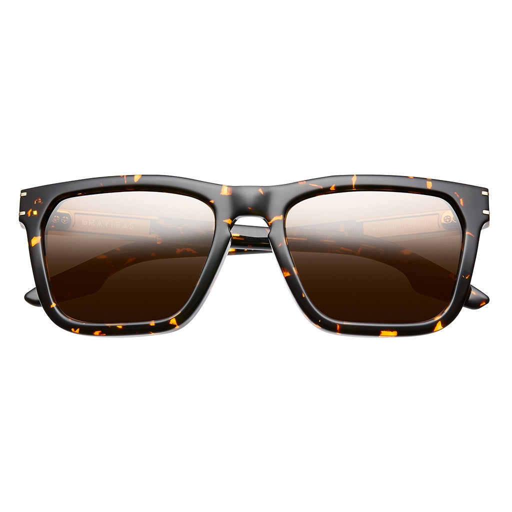 Polished Ambercomb Tortoise Brushed Gold Bronze AR Lens Sunglasses Gravitas