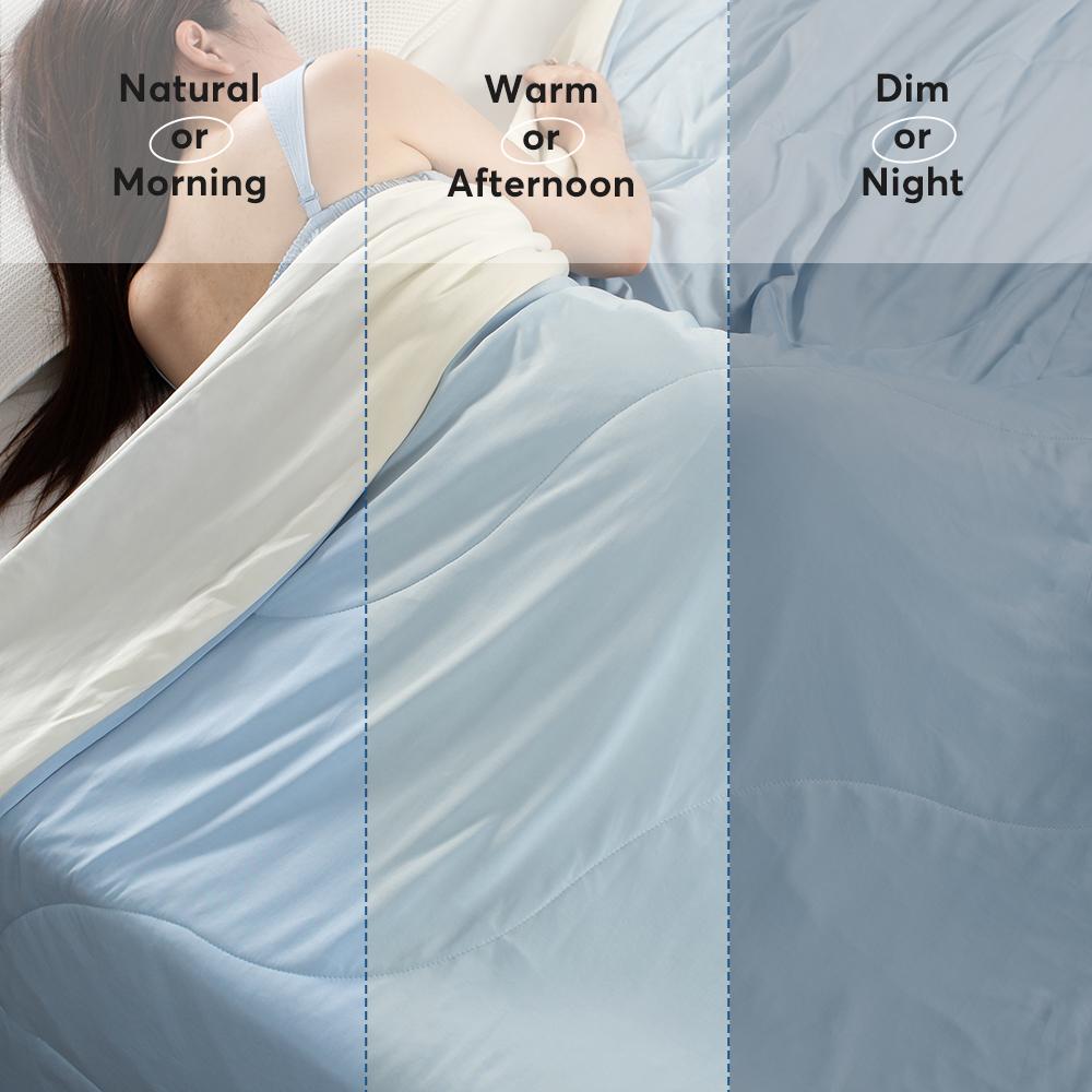 Cooling Ultra Soft All Season Blanket Comforter Kasentex