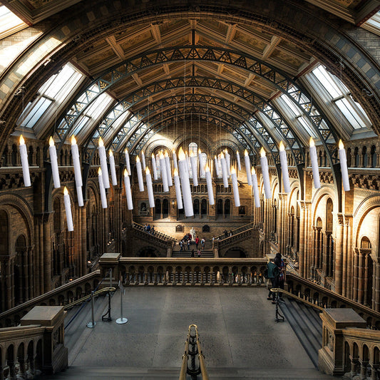 Halloween Party Decoration Candle Light LED Magic Wand Long Brush Holder FP15