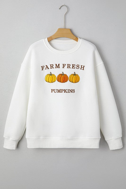 Farm Fresh Pumpkins Embroidered Thanksgiving Sweater