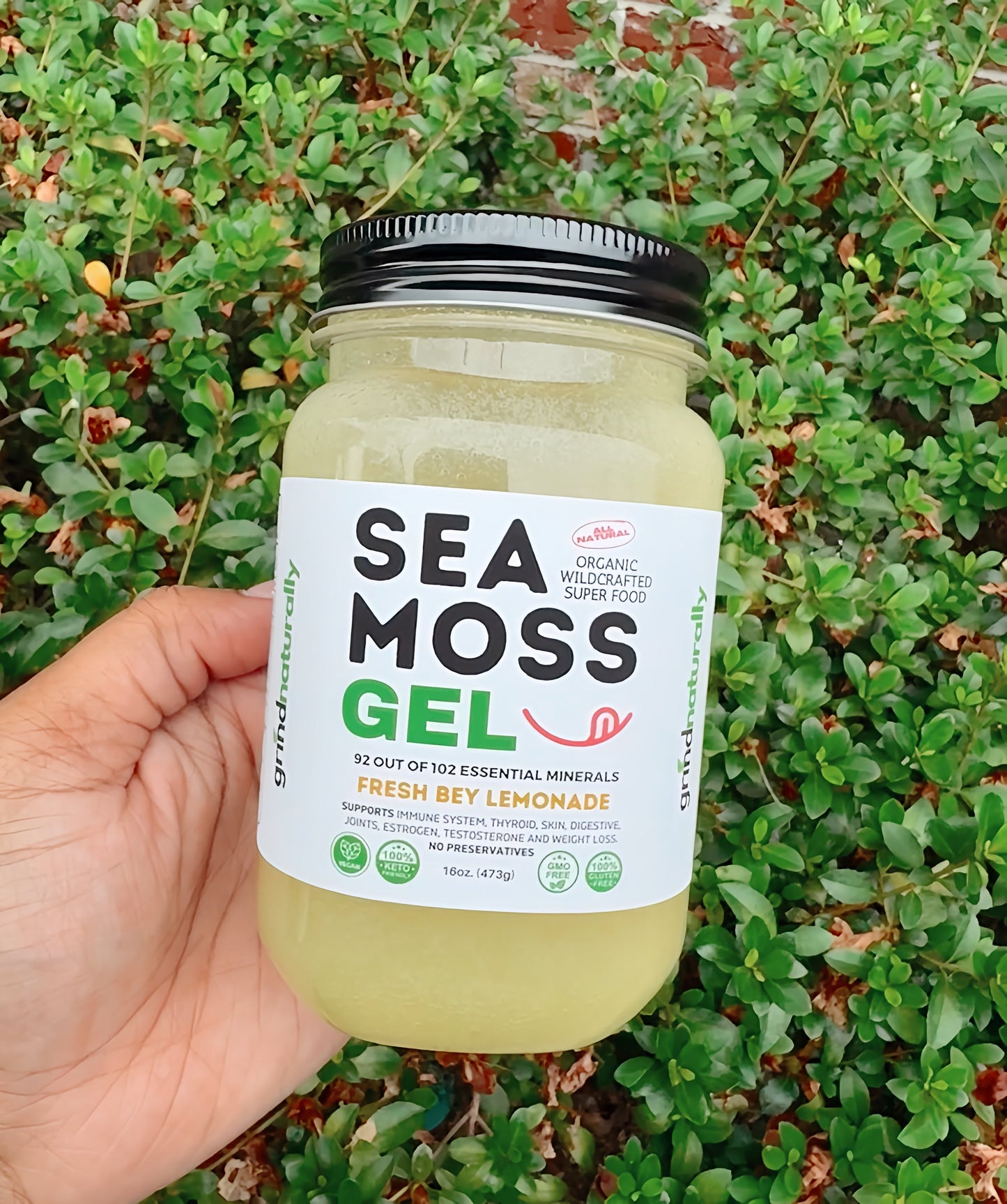 Flavored 100% Raw Organic Sea Moss Gel Wild Harvested - Dr. Sebi Inspired