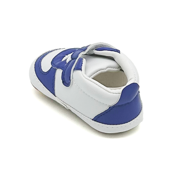 Air Maccabees Blue Low Top Shoes