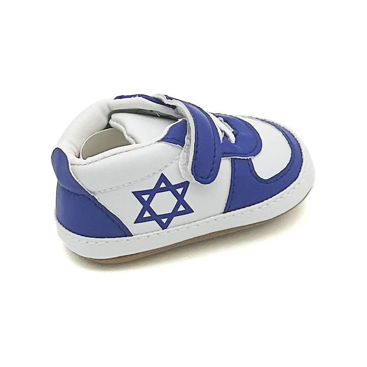 Air Maccabees Blue Low Top Shoes