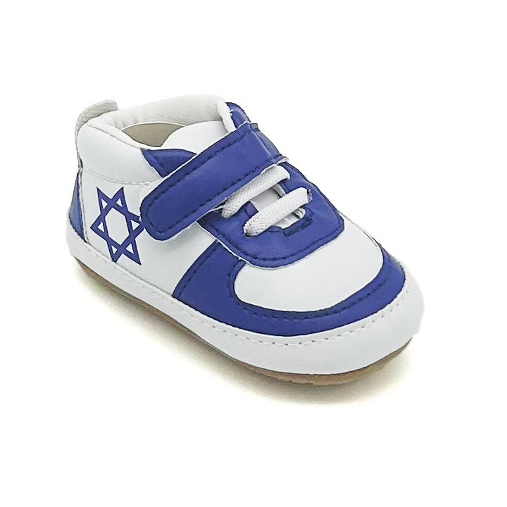 Air Maccabees Blue Low Top Shoes