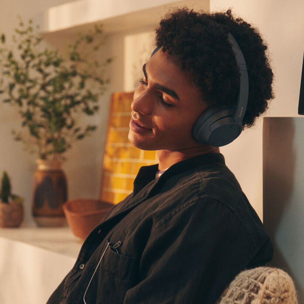 Sony WH‑CH720N Lightweight ANC Wireless Headphones