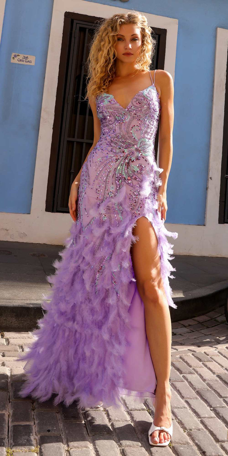 Long Sequin Embroidered Applique Fitted Feather Gown Nox Anabel C1413