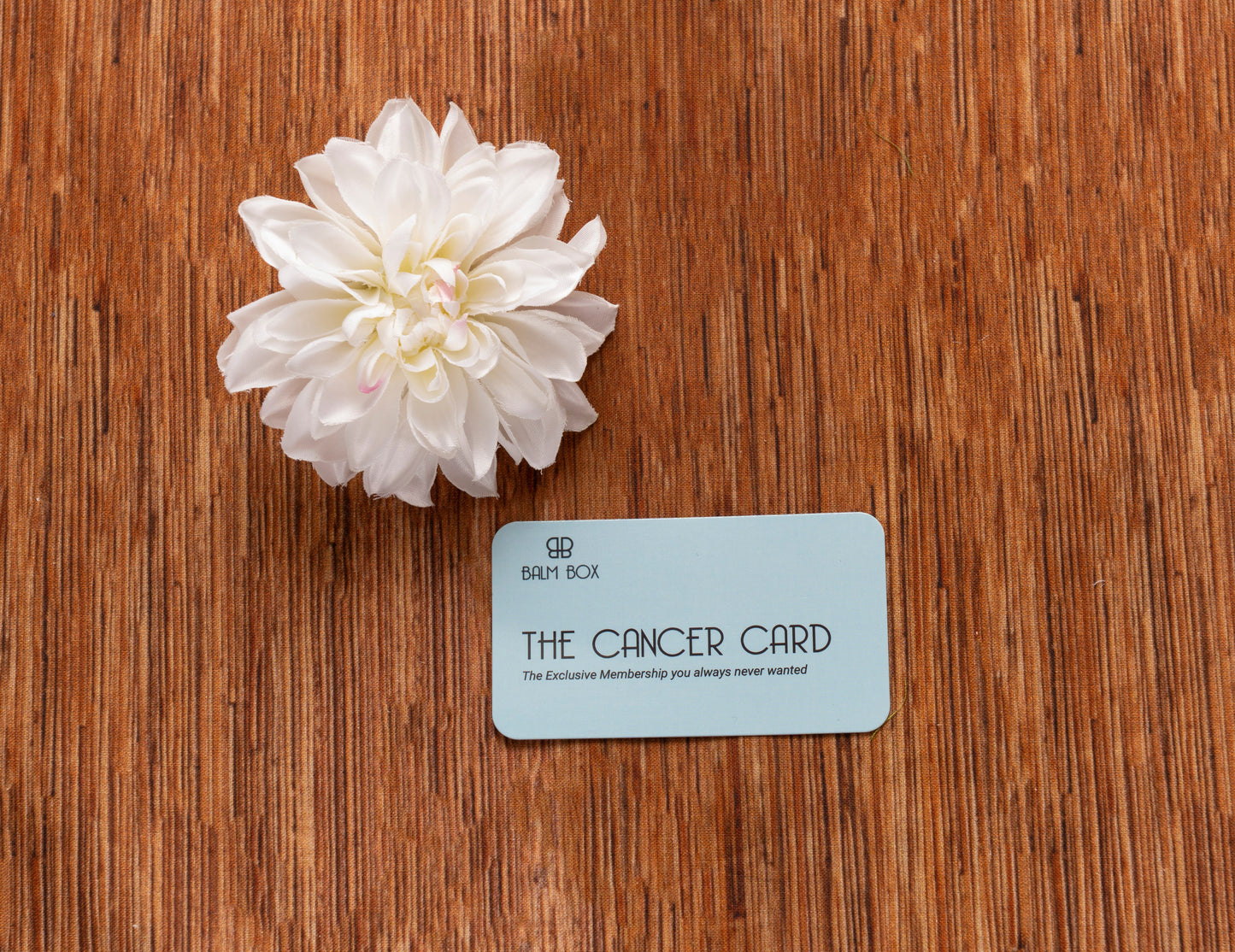 The Balm Box Chemo Essentials Gift Bundle - Wholesale