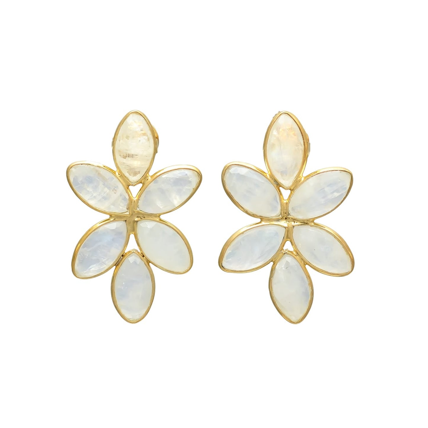 Splendid Shell Drop Earrings