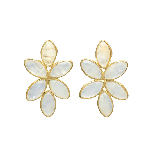 Splendid Shell Drop Earrings