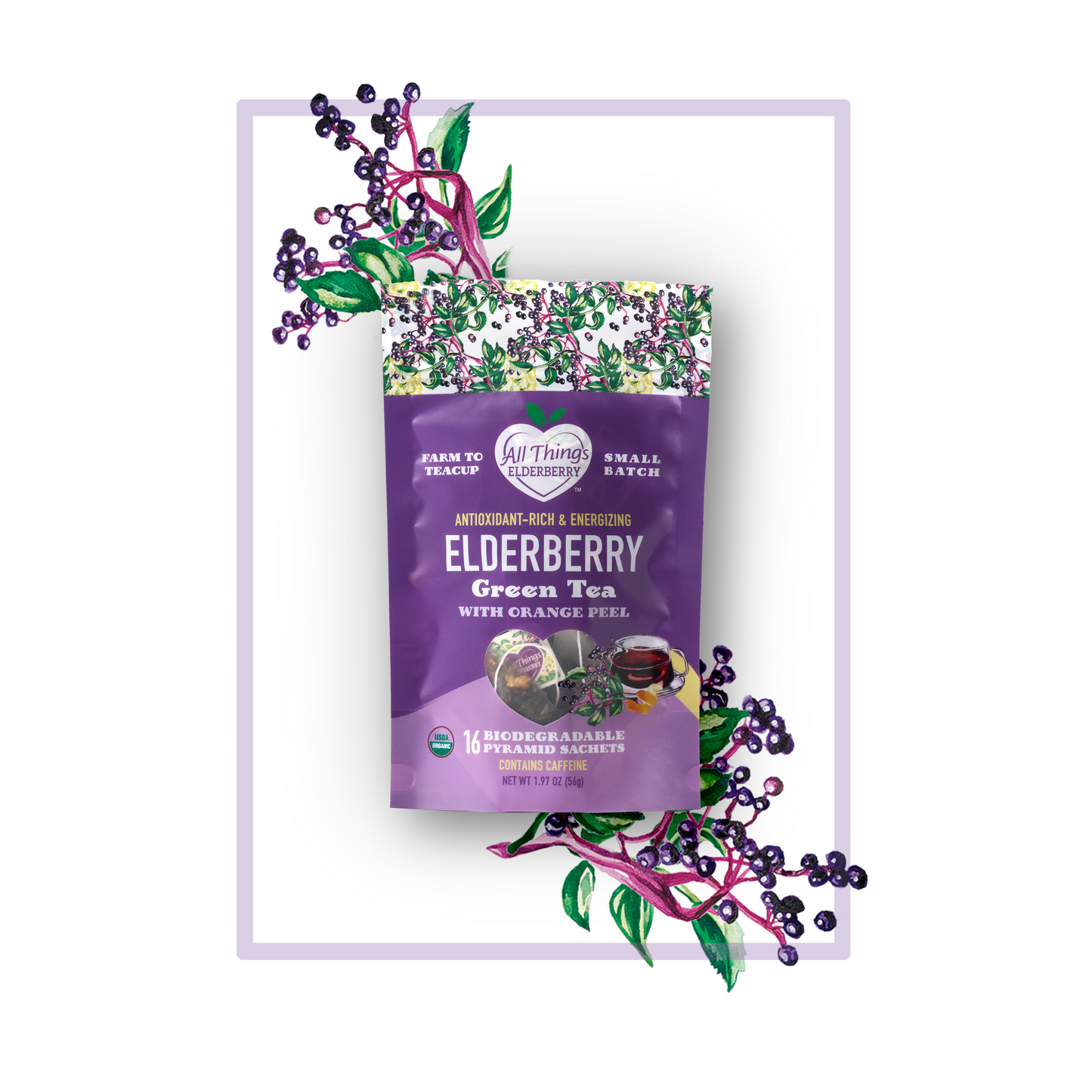 Elderberry Green Tea Medium-Strength Brew Organic
