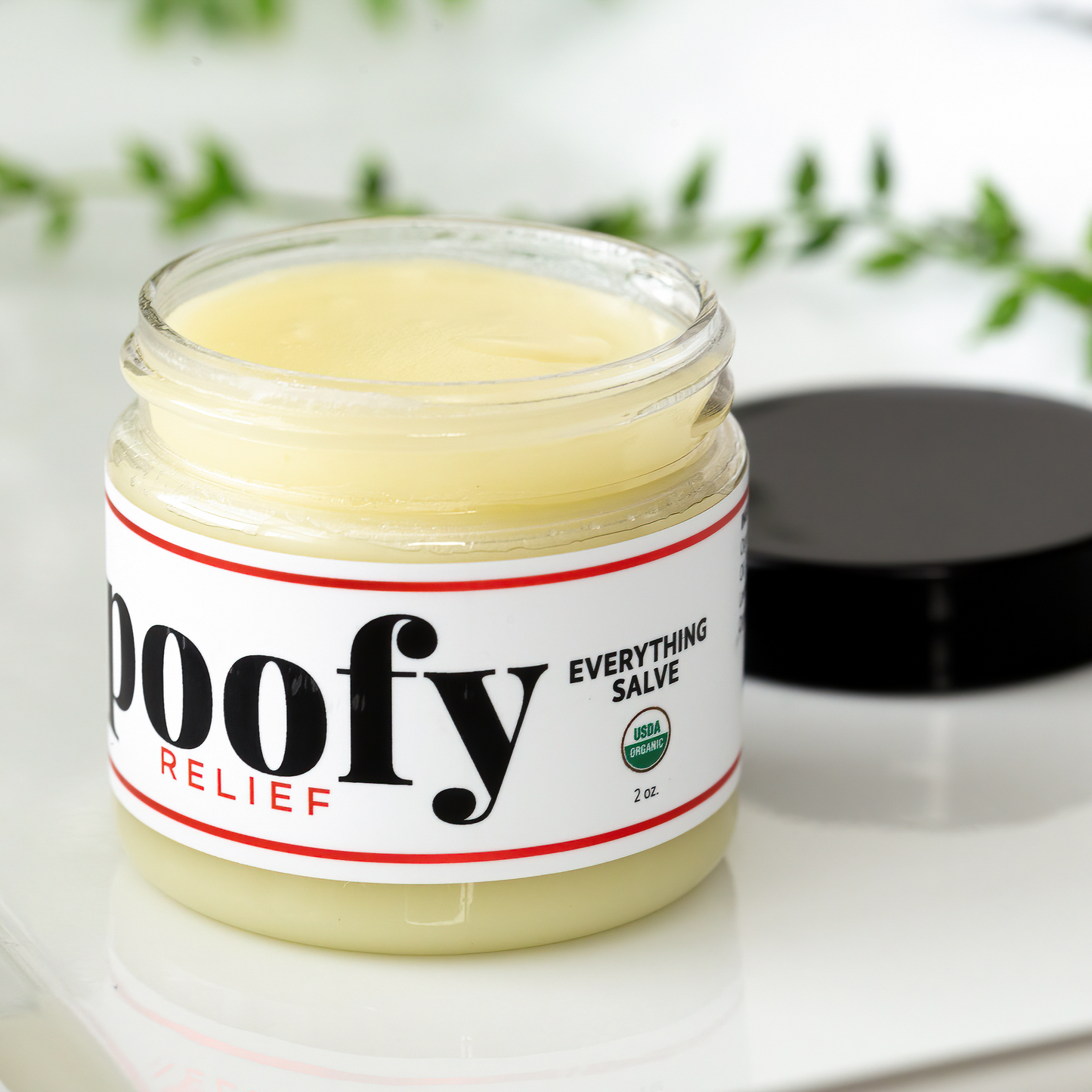 Everything Salve Organic Healing Salve Poofy Organics