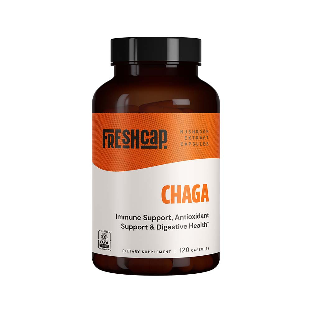 Chaga Mushroom Extract Capsules