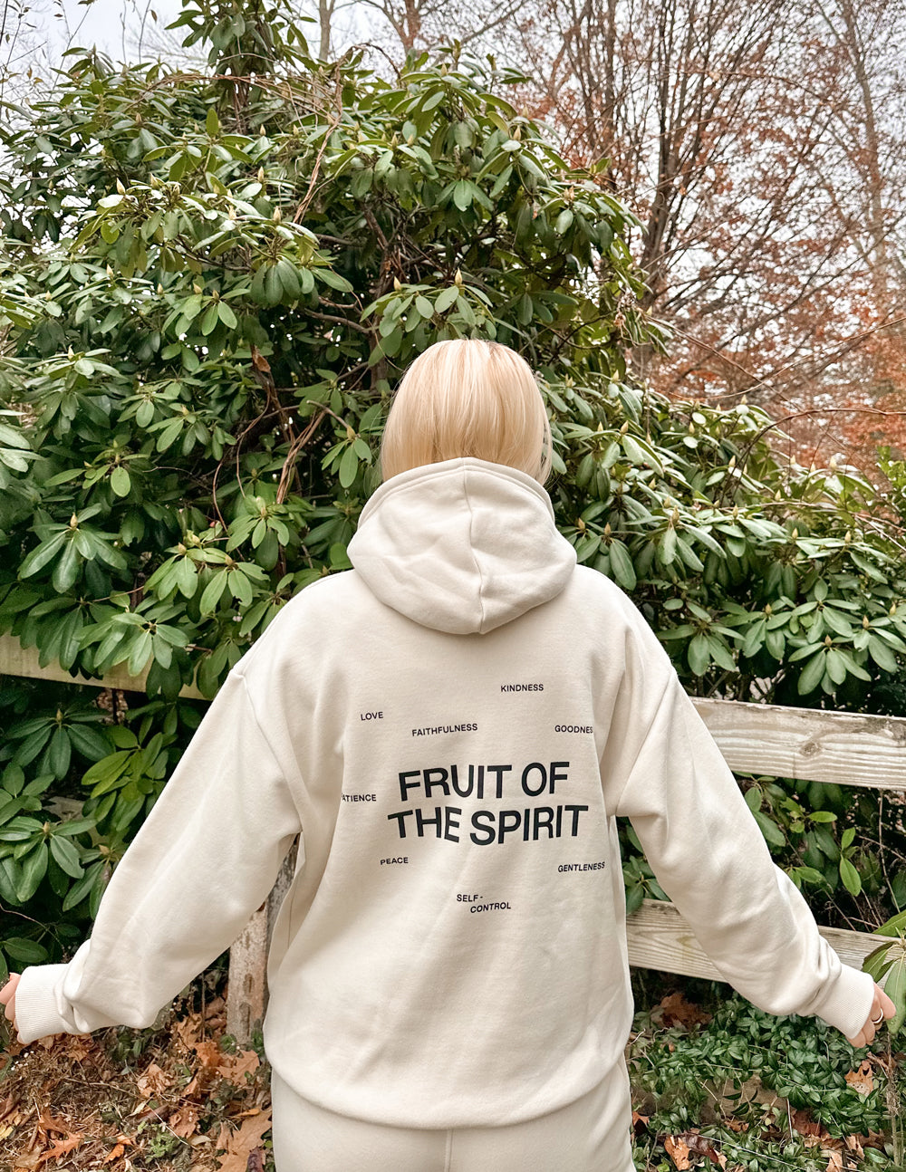 Fruit of the Spirit Super Soft Unisex Hoodie