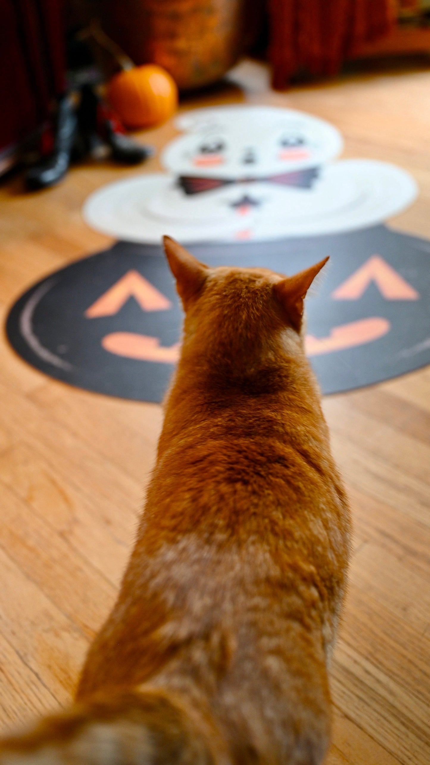 Ghostie in Caudron Die Cut Vinyl Halloween Floor Decor 102' Johanna Parker