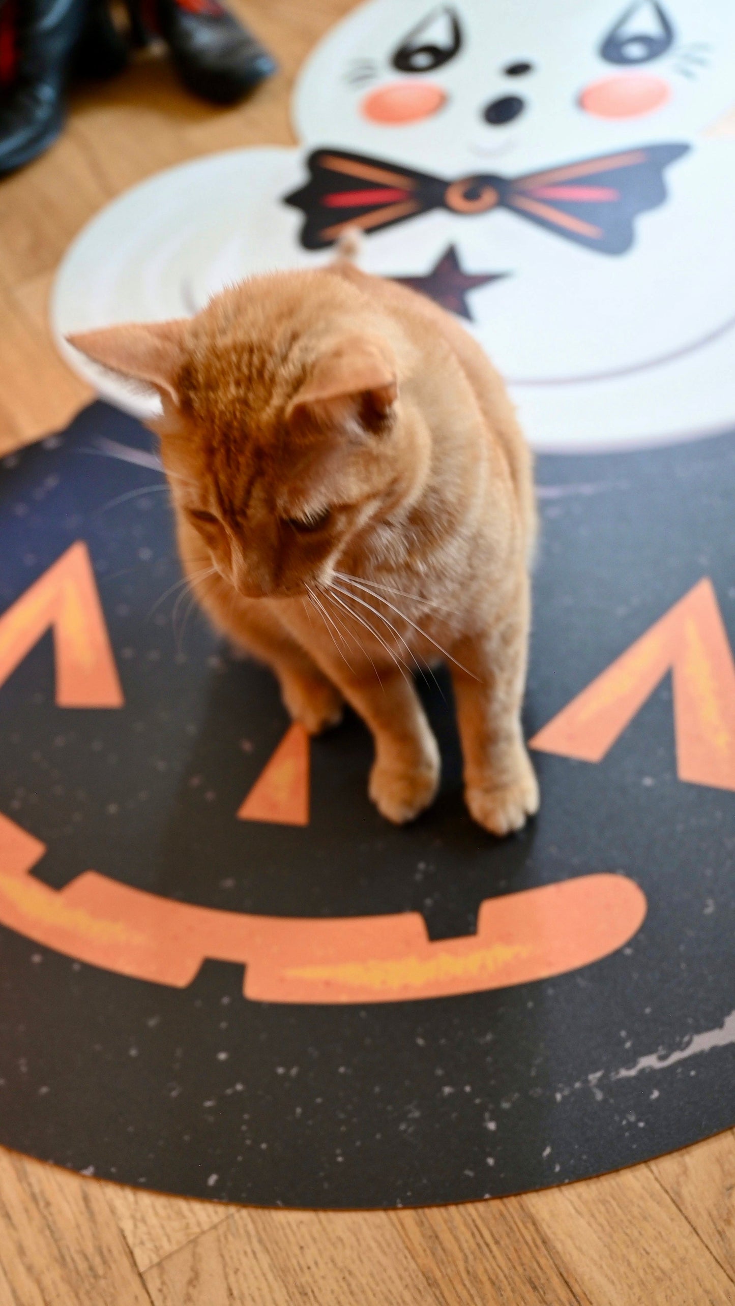 Ghostie Die Cut Vinyl Halloween Floor Decor 56' Johanna Parker