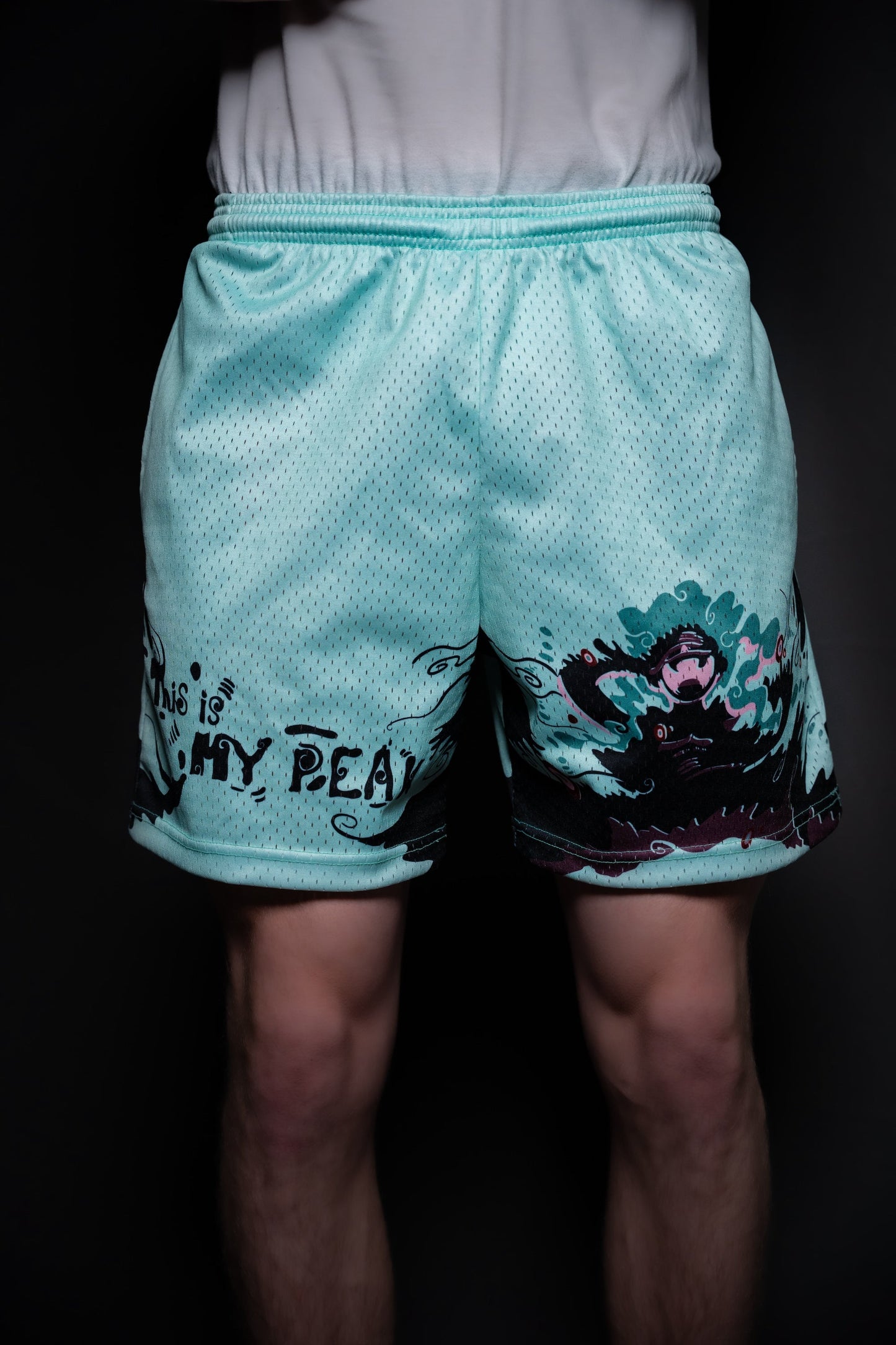 Air Ventilation Mesh Premium Version Shorts Gear 5