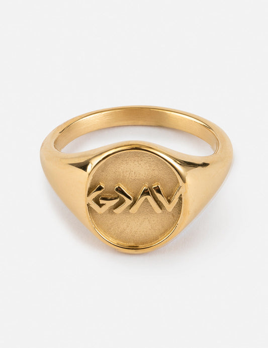 Highs and Lows Signet Ring Unisex