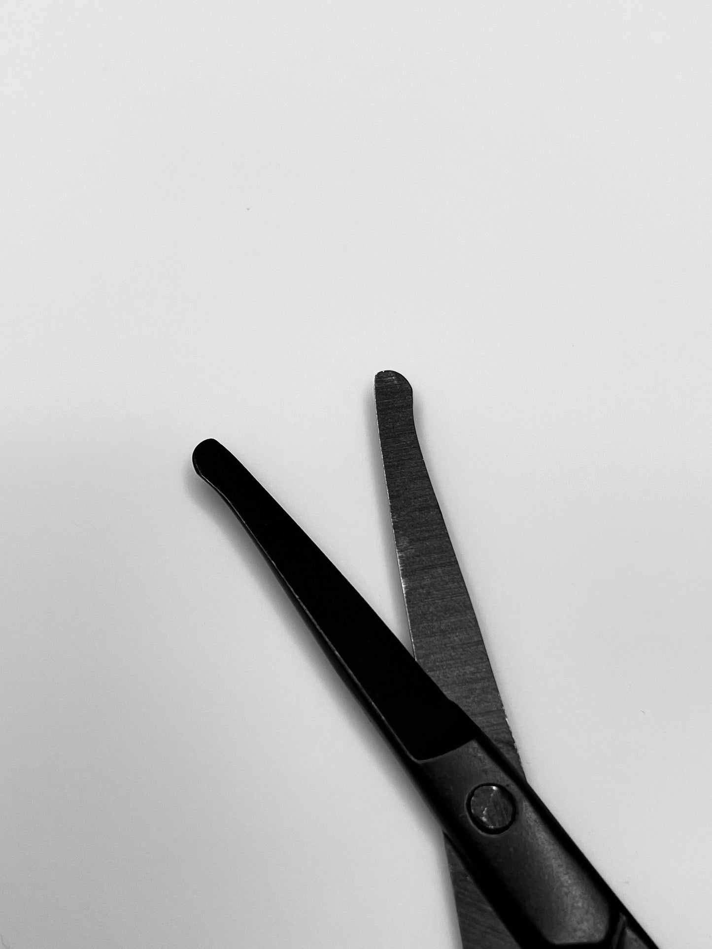 Stainless Steel Mini Scissors - Black