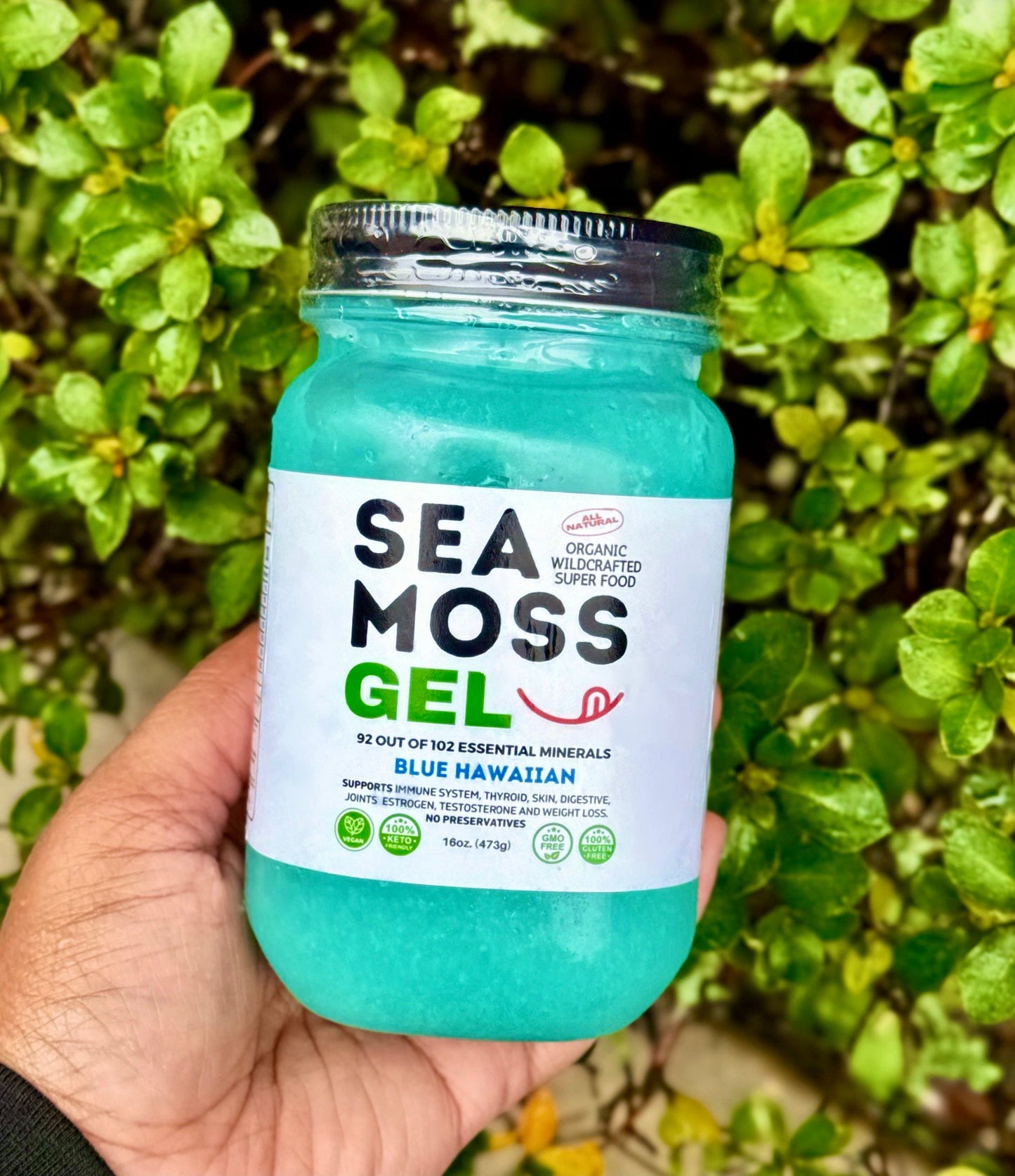 Flavored 100% Raw Organic Sea Moss Gel Wild Harvested - Dr. Sebi Inspired