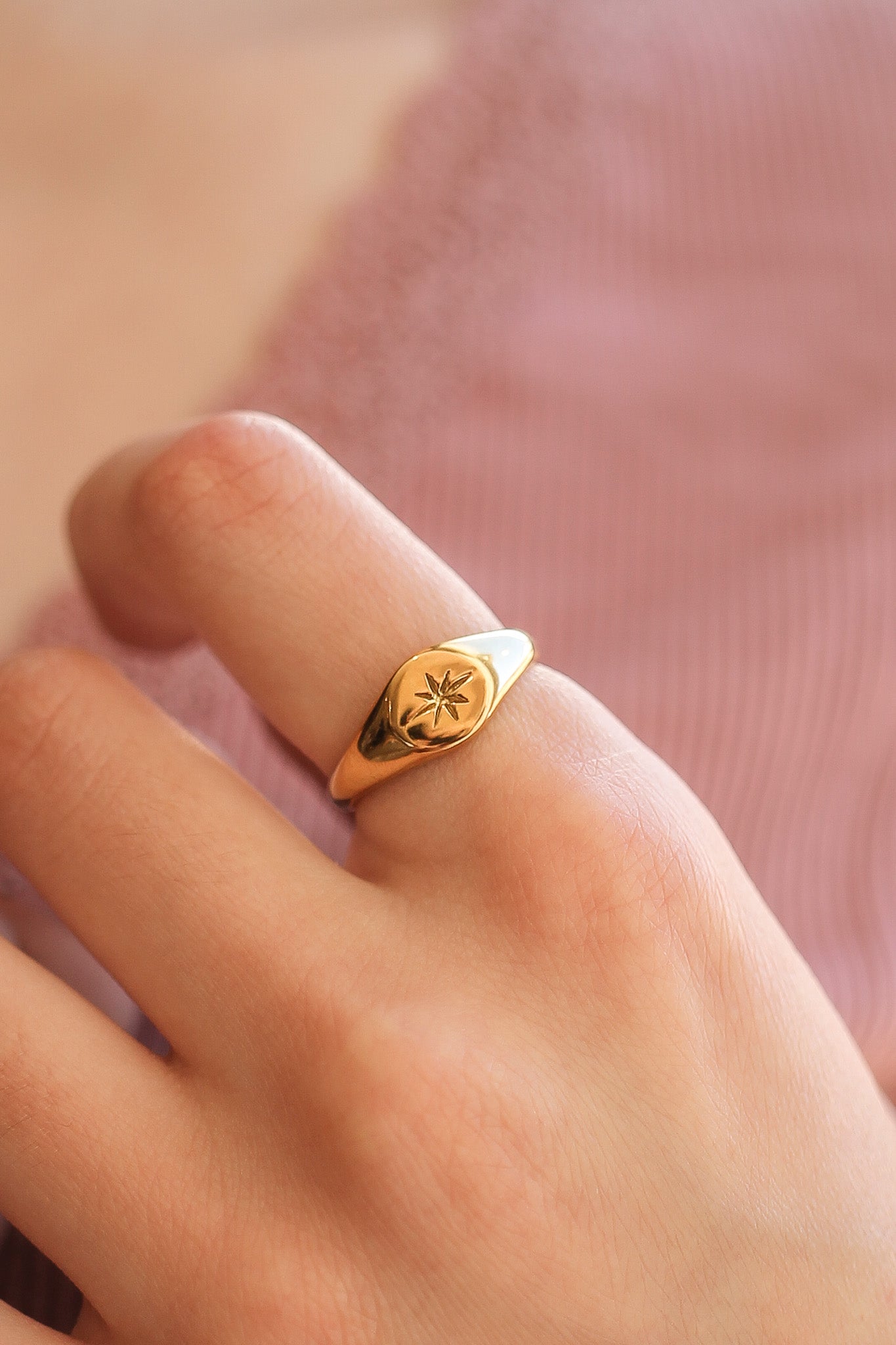 Stainless Steel Signet Ring Estelle Ring Rose & Clay