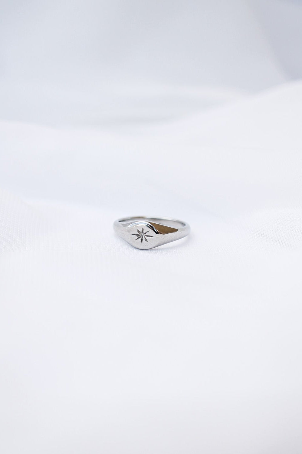 Stainless Steel Signet Ring Estelle Ring Rose & Clay