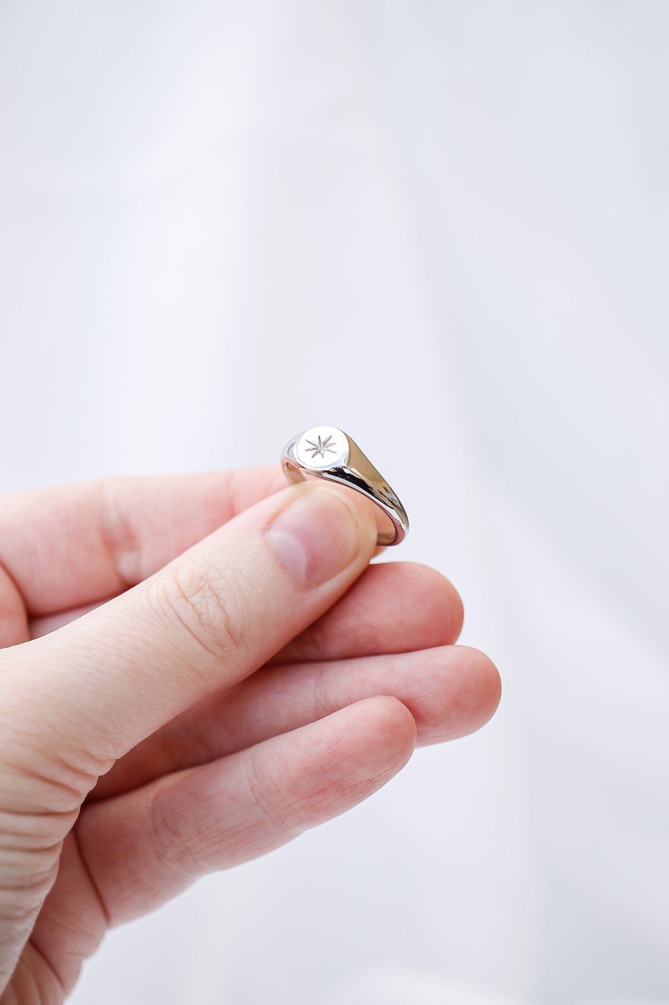 Stainless Steel Signet Ring Estelle Ring Rose & Clay