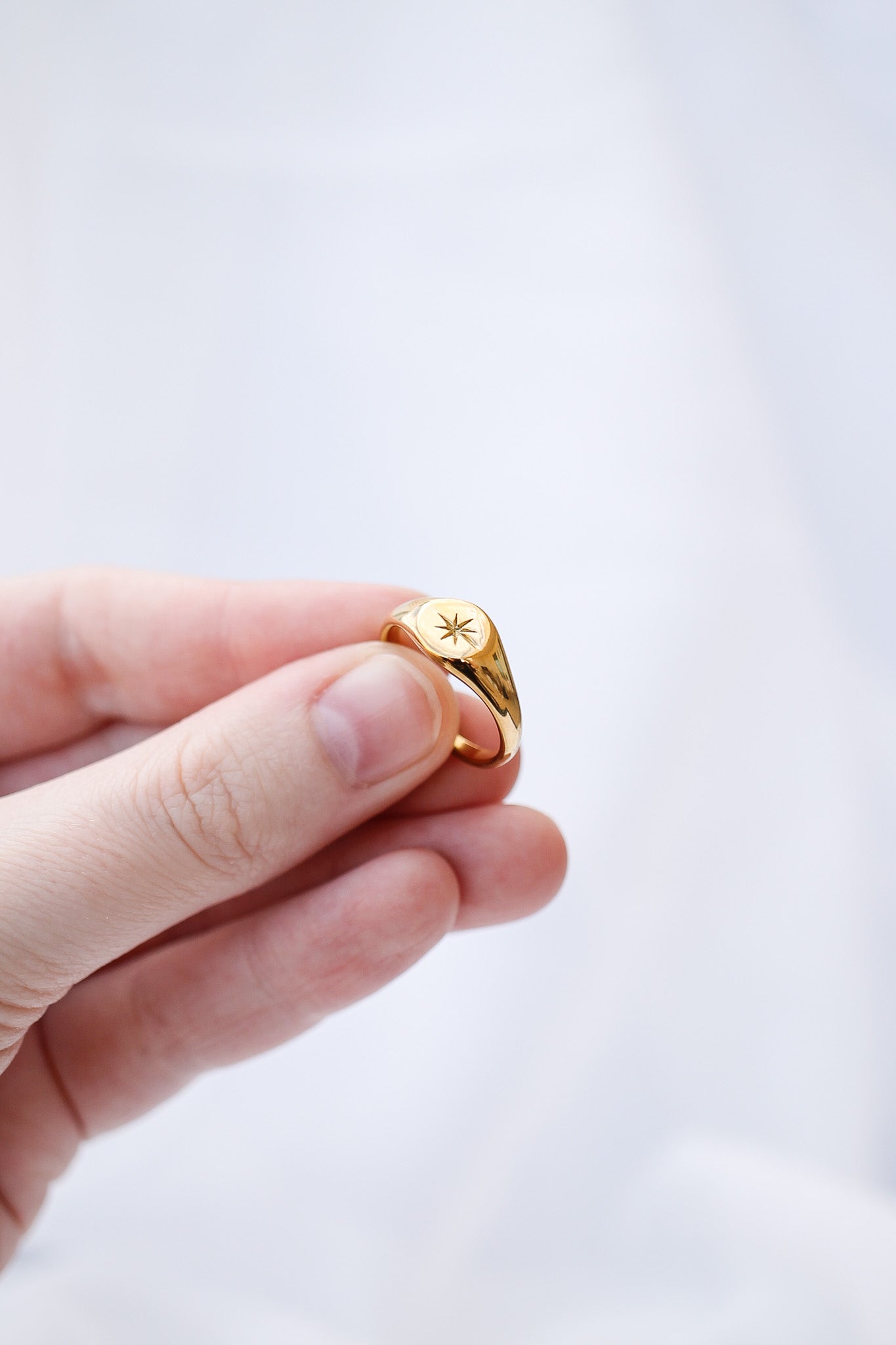 Stainless Steel Signet Ring Estelle Ring Rose & Clay