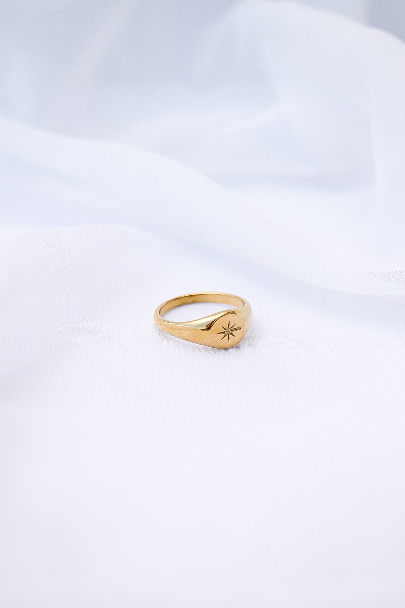 Stainless Steel Signet Ring Estelle Ring Rose & Clay