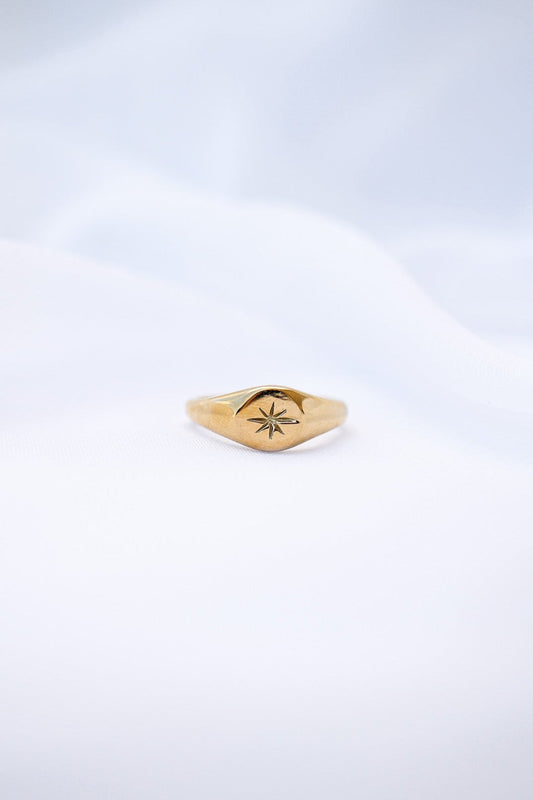 Stainless Steel Signet Ring Estelle Ring Rose & Clay