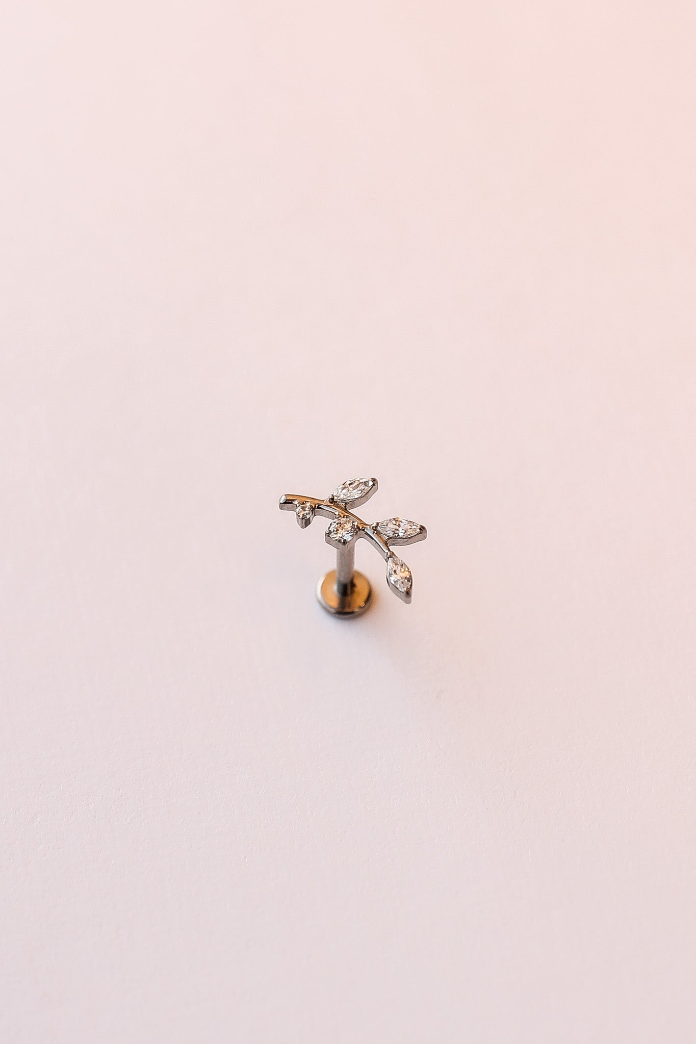 Eden Titanium Flat Back Stud Cubic Zirconia Earrings
