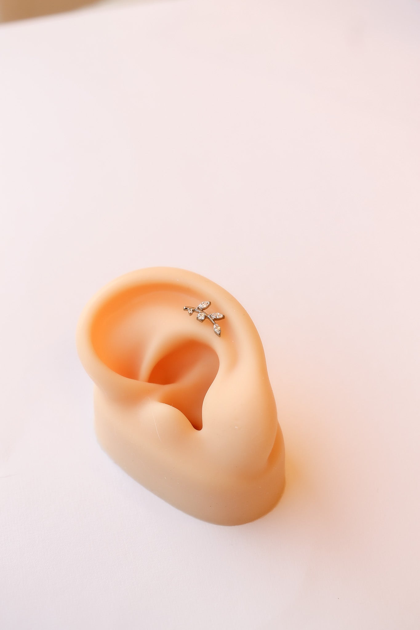 Eden Titanium Flat Back Stud Cubic Zirconia Earrings