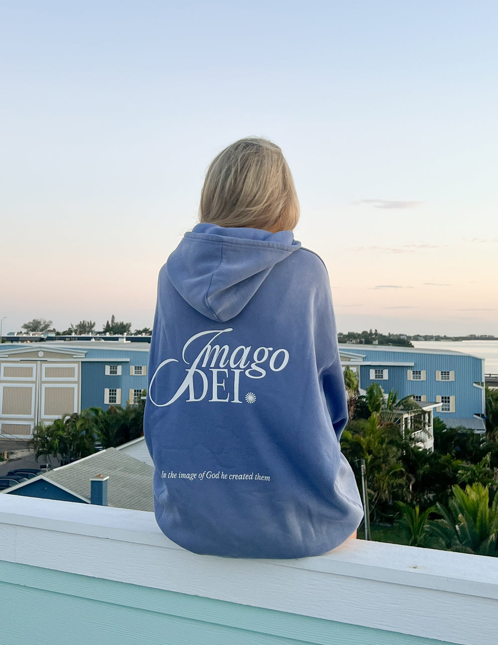 Unisex Relaxed Indigo Hoodie Imago Dei