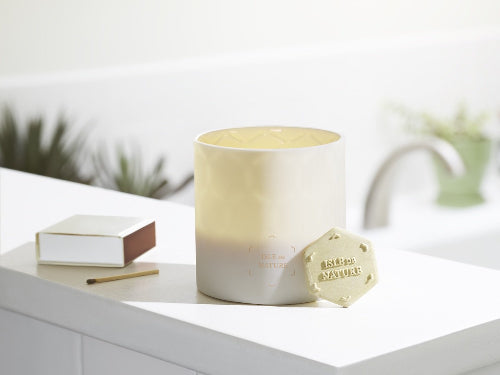Pagua Bay Luxury Beeswax Candle with Bay Leaf Scent by Isle de Nature